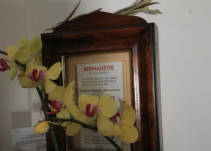 Bernadette